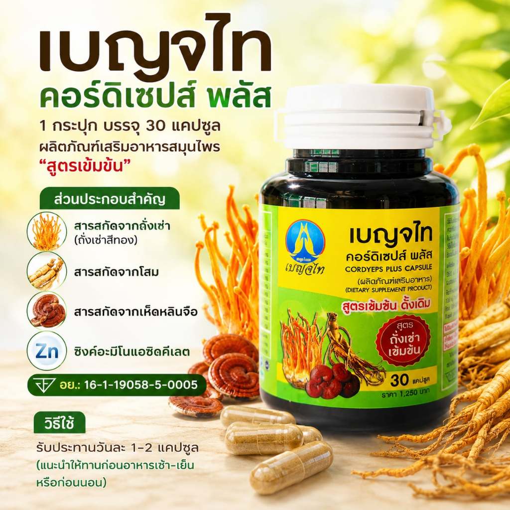 เบญจไทคอร์ดิเชปส์พลัส สมุนไพรบำรุงร่างกาย1ขวดบรรจุ30แคปซูล