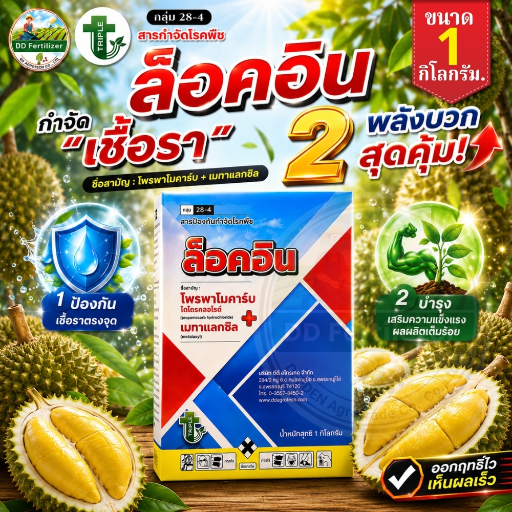ล็อคอิน #โพรพาโมคาร์ปไฮโดคลอไรด์+เมทาแลคซิล ขนาด 1 kg กำจัดเชื้อรา โรคเน่าคอดิน รากเน่าโคนเน่า #ทริปเปิ้ลที