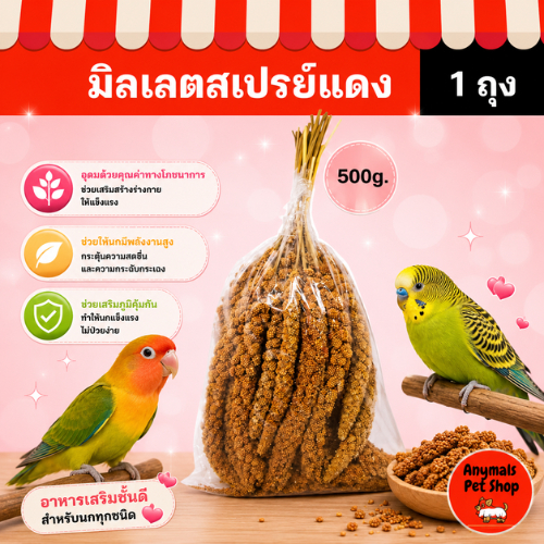 (ขนาด 500g.) มิลเลตสเปรย์แดง เป็นอาหารเสริมสำหรับนก โดยเฉพาะนกที่มีปัญหาในการกินอาหารหรือนกที่กำลังป่วย
