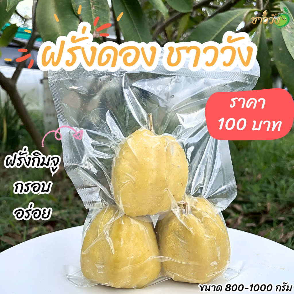 ฝรั่งดองชาววัง กรอบอร่อย ขนาด800 แถมฟรีพริกเกลือ(แบบซอง)