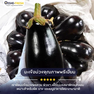 🛒Oishi-Fresh🍆มะเขือม่วง ปลอดสารพิษ 1 กก. รสชาติกรอบ สด ใหม่ ใยอาหารสูง หวานออร์แกนิค ผัก เคลมได้ 1-2 วัน