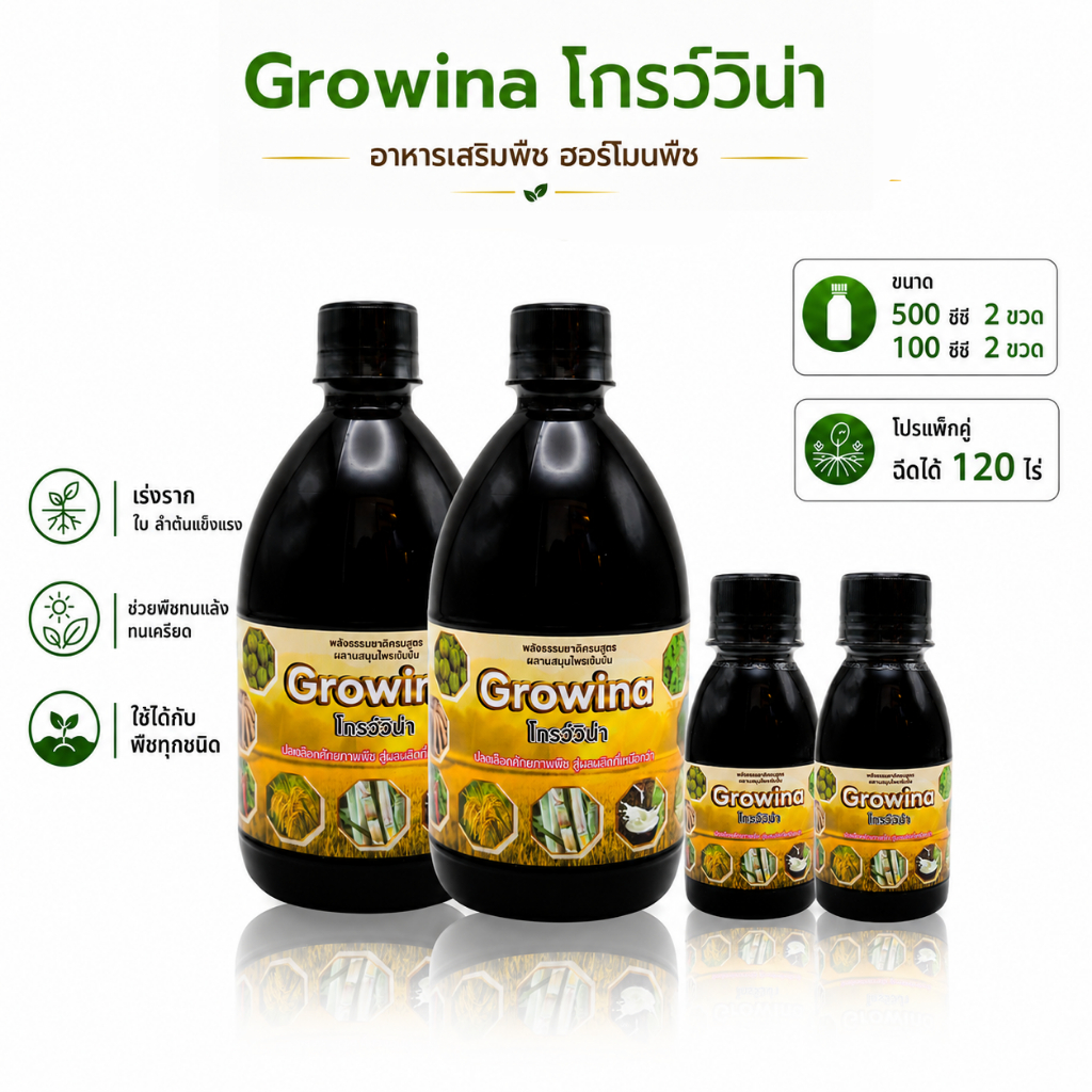Growina โกรว์วิน่า ฮอร์โมนพืช ลดปุ๋ย ลดต้นทุน เพิ่มผลผลิต ข้าวออกรวงดี เห็นผลเร็ว ขนาด 500 ซีซี 2 ขวด +100 ซีซี  2 ขวด