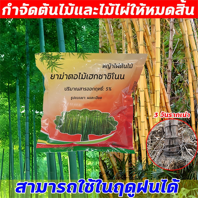 สามารถใช้ในฤดูฝนได้ สารกำจัดวัชพืช ไม่กลัวฝน ยากำจัดต้น เคลียรต้นไม้ใหญ่ ยาฆ่าหญ้า ผลติดทนนาน สารกำจัดก่อไผ่ ยาฆ่าต้นไม้