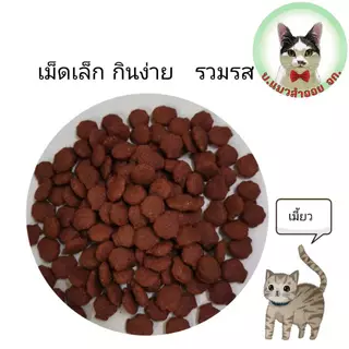 ซอยแคท อาหารแมวรสรวม ขนาด 1 กก.x20 ถุง (Zoi Cat 1 kgx20) Mix Flavor (บรรจุ 1 กก.x20 ถุง)