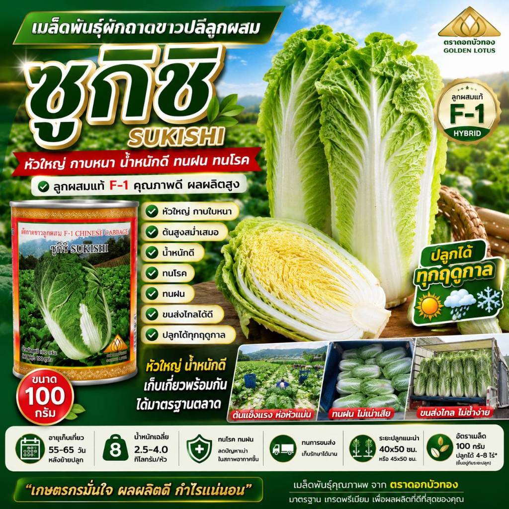 เมล็ดพันธุ์ผักกาดขาวลุ้ย ซูกิชิ ขนาด 100 กรัม