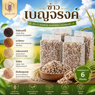 ข้าวเบญจรงค์5สี แพคสุญญากาศ6กิโลกรัม ตราทรัพย์ธนา