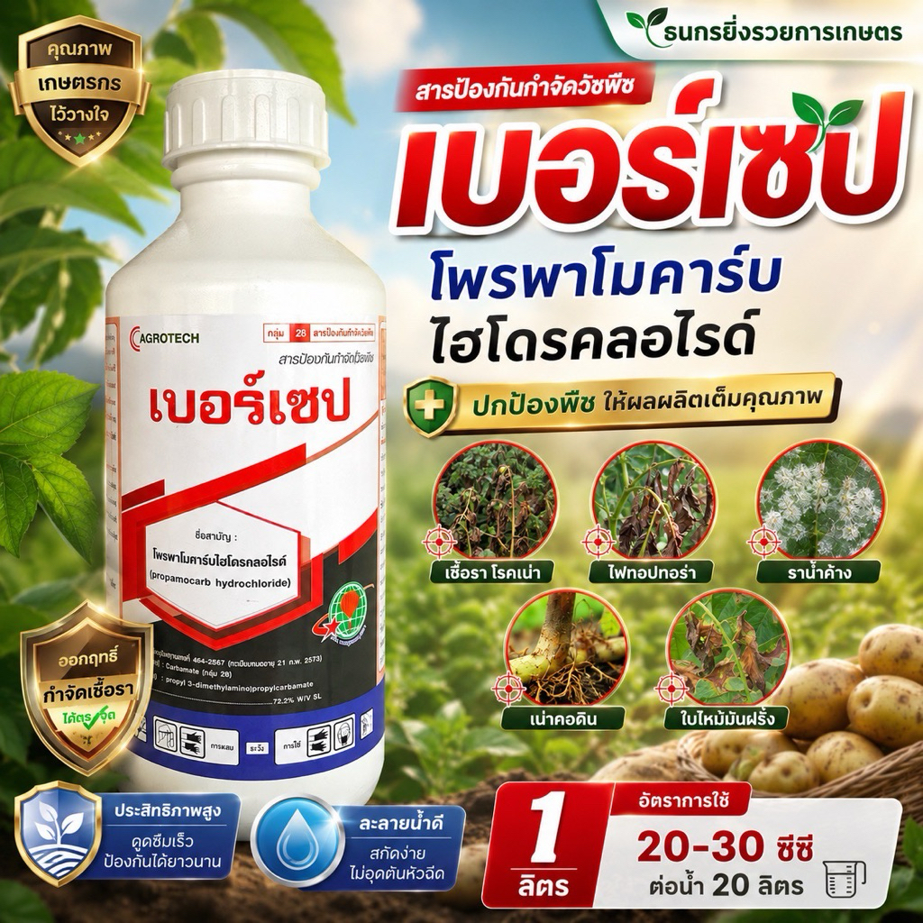 เบอร์เซป สารป้องกันและกำจัดเชื้อรา