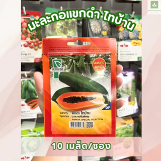 เมล็ดพันธุ์มะละกอ ซองเล็ก มีครบ! มะละกอแขกดำ มะละกอฮอลแลนด์ ศรแดง เจียไต๋