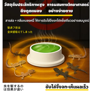 🦎ตุ๊กแกไม่เหลือแม้แต่ตัวเดียว🦎 เจลกำจัดจิ้งจก เจลเหยื่อล่อจิ้งจก ยาฆ่าจิ้งจก กำจัดจิ้งจก ยาฆ่าตุ๊กแก 10 ชิ้น/กล่อง