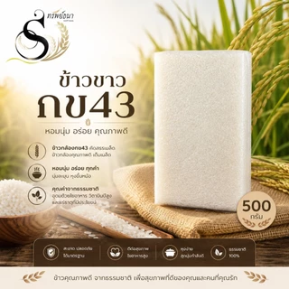 ข้าวขาวกข43 ตราทรัพย์ธนา ขนาดทดลอง500 กรัม คัดสรรคุณภาพจากโรงสีโดยตรง