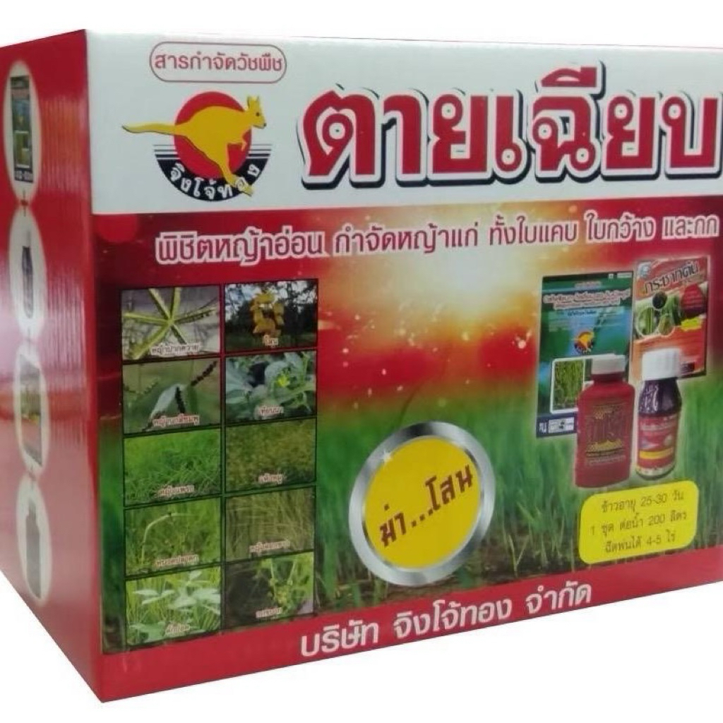 ตายเฉียบ (จิงโจ้ทอง)ชุดเก็บหญ้าในนาข้าวกำจัดหญ้า ทั้งใบแคบ ใบกว้างกกโสนและพืชตะกกก็จิงโจ้ทอง 1 ชุดผสมน้ำได้ 200 ลิตร5ไร่