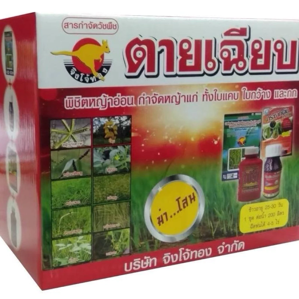 ตายเฉียบ (จิงโจ้ทอง)ชุดเก็บหญ้าในนาข้าวกำจัดหญ้า ทั้งใบแคบ ใบกว้างกกโสนและพืชตะกกก็จิงโจ้ทอง 1 ชุดผสมน้ำได้ 200 ลิตร5ไร่