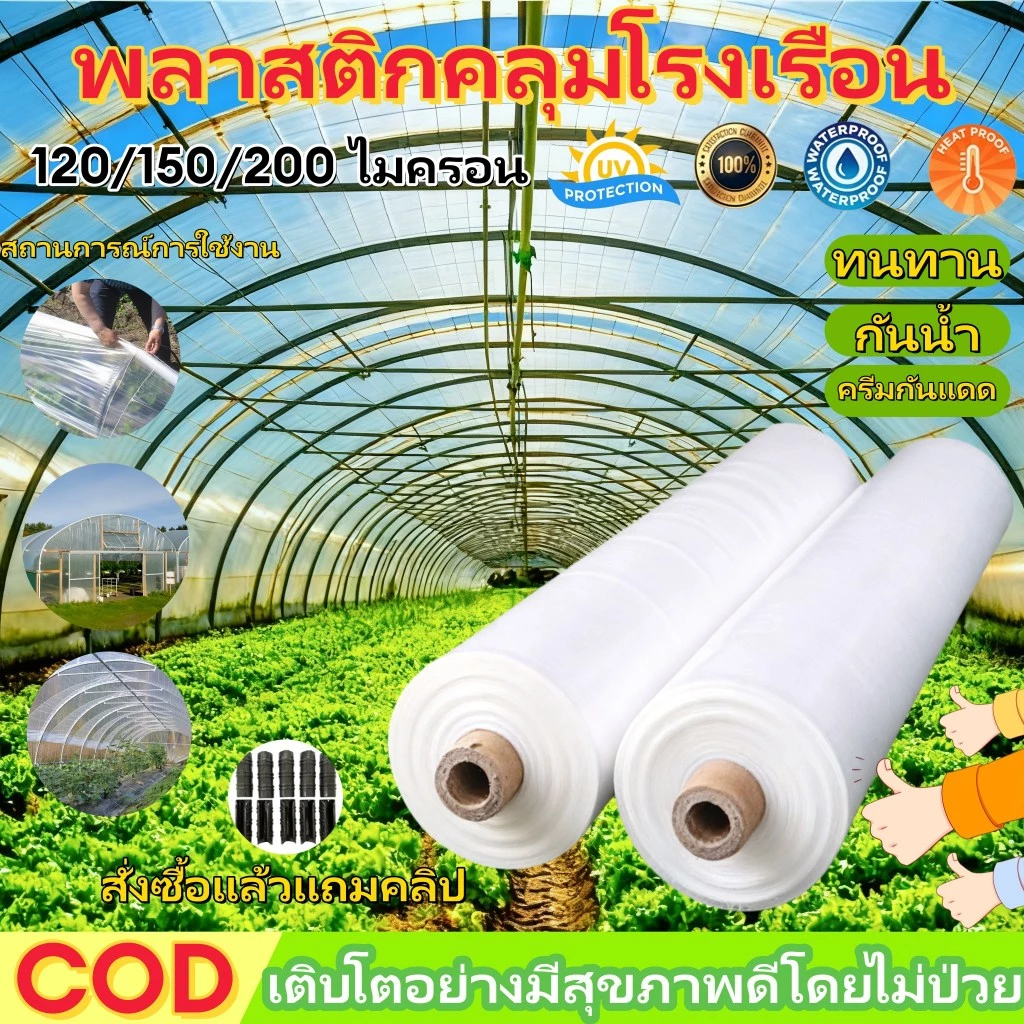 COD พลาสติกคลุมโรง วัสดุ PE (เกรด AAA) หนา 120/150/200ไมครอน คลุมหลังคากันสาด