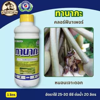 ทานากะ (ยกลัง12ลิตร) สาร คลอร์ฟีนาเพอร์ ยาแมลง สารป้องกันกำจัดแมลง (หนอน เพลี้ยไฟ ไรแดง) เทพวัฒนา ตราปลาคู่
