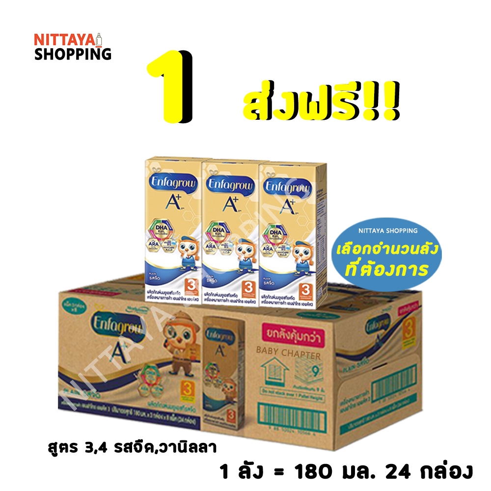 1 ลัง ส่งฟรี! Enfagrow A+ เอนฟาโกร เอพลัส นกฮูก สูตร 3 และ 4 รสจืด 180 มล 24 กล่อง นมจืด นมกล่อง