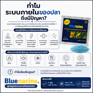 Bluenacine 5g. ดูแลระบบภายในของปลา ลดอาการท้องอืด ขี้ขาว ตาโปน