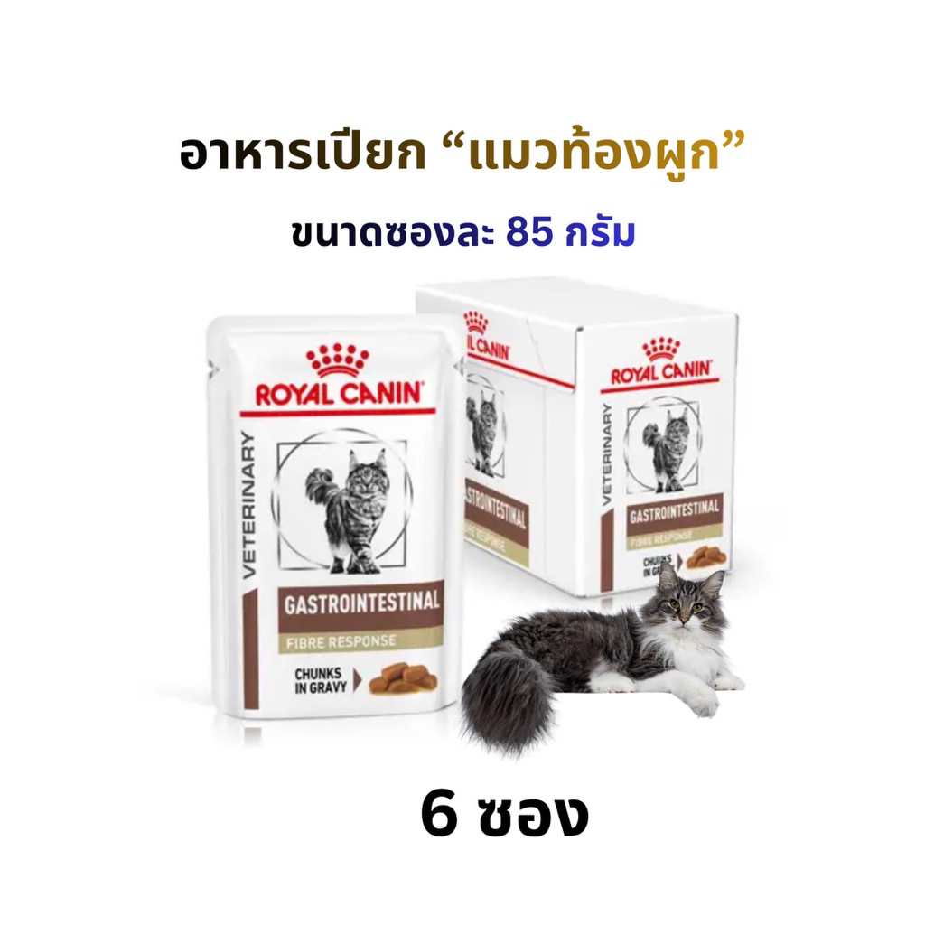 (หมดอายุ: 17/10/2027) Royal canin อาหารแมวชนิดเปียก ท้องผูก fibre 85 g. (6 ซอง)