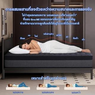【รับประกัน 10 ปี】GreaME 10/12นิ้ว เกรดโรงแรม ที่นอนสปริงไฮบริด ความแข็งปานกลาง 3.5 ฟุต/5 ฟุต/6ฟุต ที่นอนยางพารา