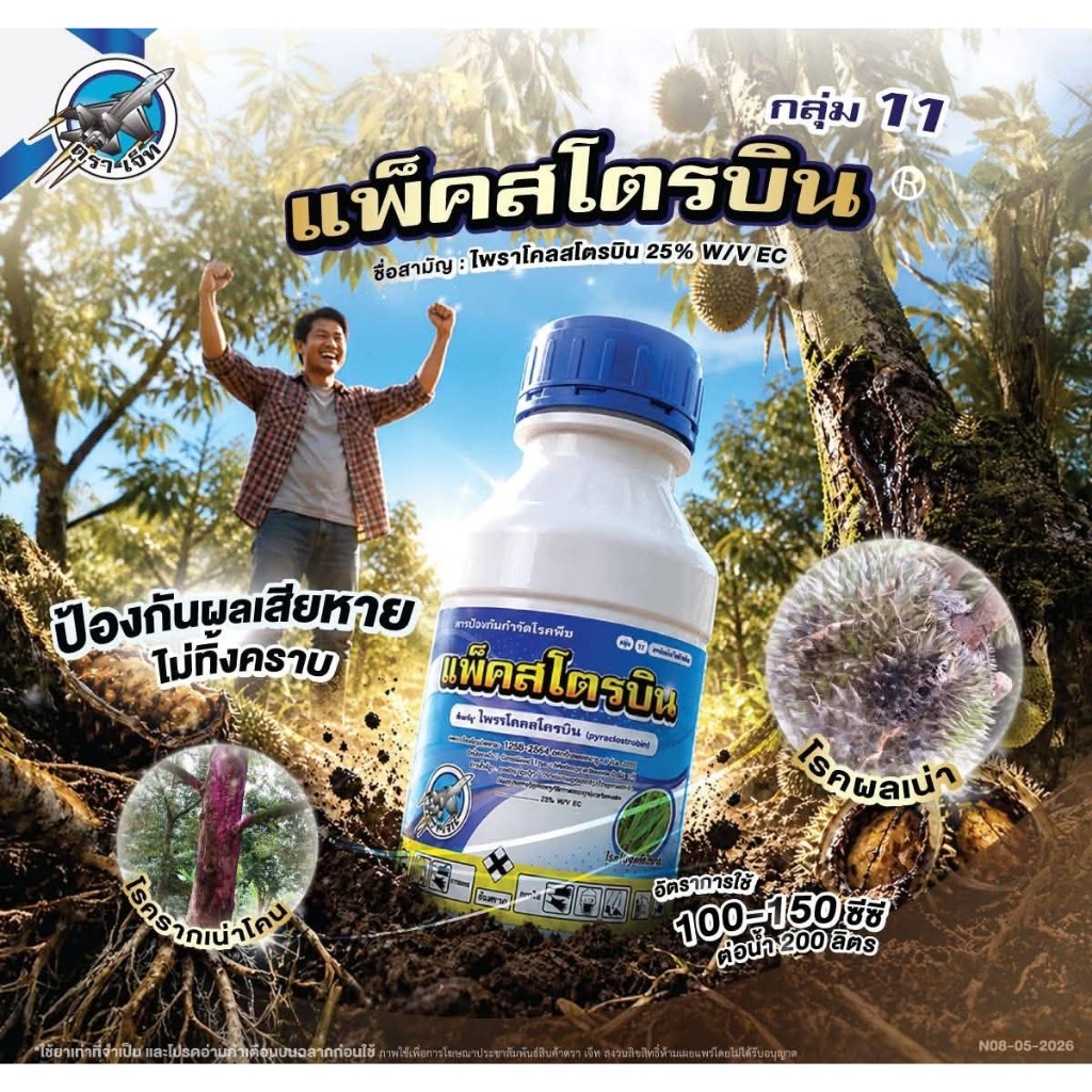 แพ็คสโตรบิน 500ซีซี ไพราโคลสโตรบิน25% โรคแอนแทคโนส กาบใบแห้ง ใบไหม้ เม็ดด่าง โรคใบจุดตากบ โรคใบจุดสีม่วง โรคต้นไหม้แห้ง