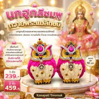 นกฮูกสีชมพูถวายพระแม่ลักษมี 🕉 🦉บริวารและพาหนะของพระแม่ลักษมี เทวีแห่งโชคลาภ เงินทอง ความมั่งคั่งร่ำรวย ความรักสมบูรณ์💰
