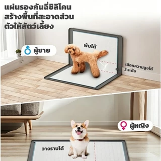 ห้องน้ำสุนัข แผ่นรองฉี่หมา ไม่รั่วซึม ทำความสะอาดง่าย พับเก็บสะดวก เหมาะกับสุนัข แมว และสัตว์เล็กทุกชนิด ใช้ซ้ำได้