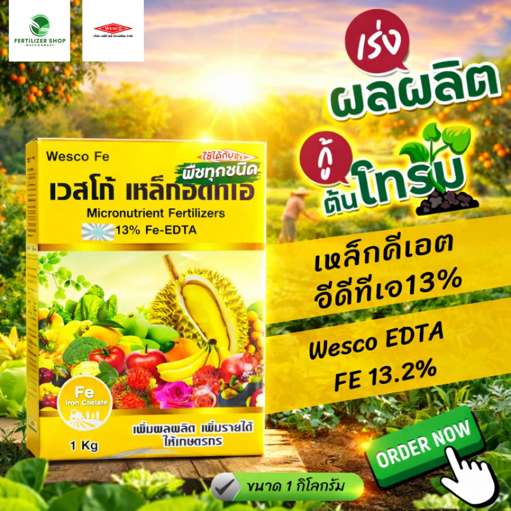 เหล็กเหลือง Fe13% (ขนาด 1kg) Chelate-EDTA เวสโก้