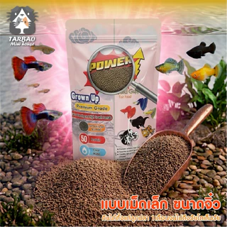 (พร้อมส่ง) อาหารปลา PowerUp สำหรับปลาบอลลูน ปลาหางนกยูง ปลากัด ขับลม สารอาหาร แร่ธาตุครบ จบในซอง