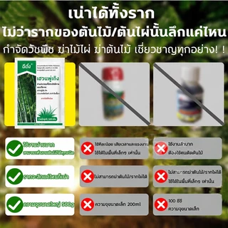 💥100% รากไม้เน่า ยาฆ่าต้นไม้ใหญ สารกำจัดกอไผ่ ยาฆ่าตอไม้ ตรงไปที่ราก สร้างมาเพื่อฤดูฝน กำจัดวัชพืชรากเน่า
