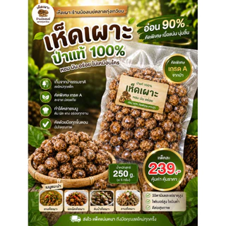 🍄เห็ดเผาะคัดอ่อน-เห็ดหนัง100% [นน.250g.]