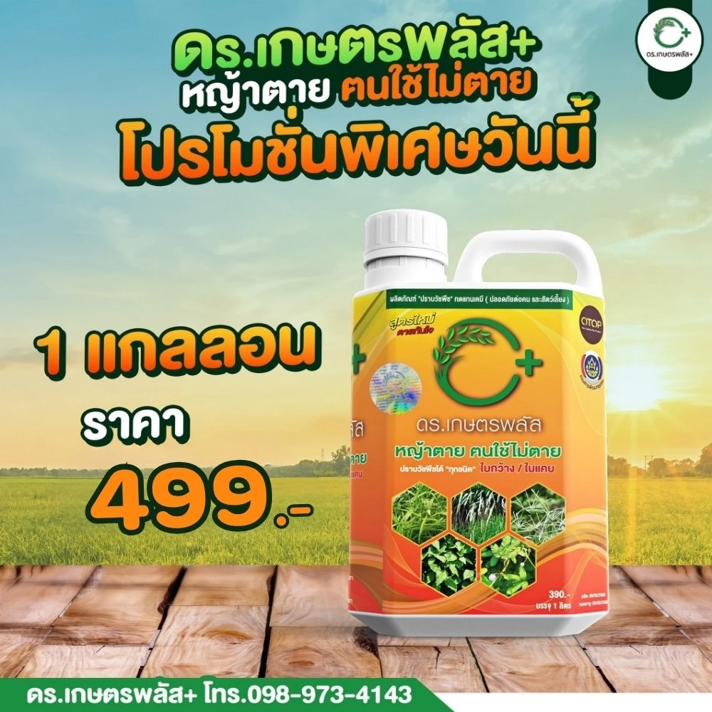 ของแท้ ต้องราคานี้เท่านั้น ผลิตภัณฑ์กำจัดวัชพืชแบบปลอดภัยไร้สารเคมี ปลอดภัยต่อคนใช้งานและสัตว์เลี้ยง 1 แกลลอน