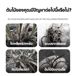 【GreenThumb】ปุ๋ย เหล็กซัลเฟต เฟอรัสซัลเฟต 250g ป้องกันโรคเหลือง ปรับสมดุลความเป็นกรดของดิน เพิ่มปริมาณธาตุเหล็กในพืช
