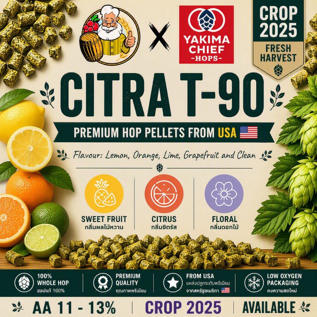 ซิตราฮอปส์ Citra (US) PELLET HOPS (T90) Crop Year 2025 สำหรับทำเครื่องดื่ม