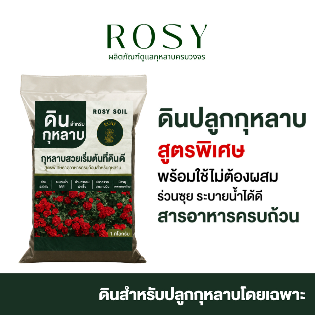 Rosy ดินกุหลาบ ผสมขุยมะพร้าว มูลไส้เดือน แกลบหมักอินทรีย์ หมักกับน้ำหมักชีวภาพจากปลา