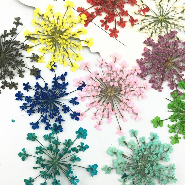 Snowbeads Buds ผ้าไหมดอกไม้ ดอกไม้แห้งลายนูนพืชตัวอย่างทำเล็บใบหน้าตกแต่งเด็กแฮนด์เมดกรอบรูปบุ๊กมาร์กสติ๊กเกอร์