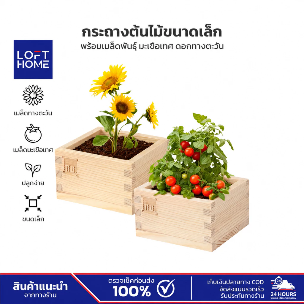 LOFTHOME กระถางต้นไม้ พร้อมเมล็ดพันธุ์ ขนาดเล็ก มะเขือเทศ ทานตะวัน ปลูกได้ภายในบ้าน หรือออฟฟิศ