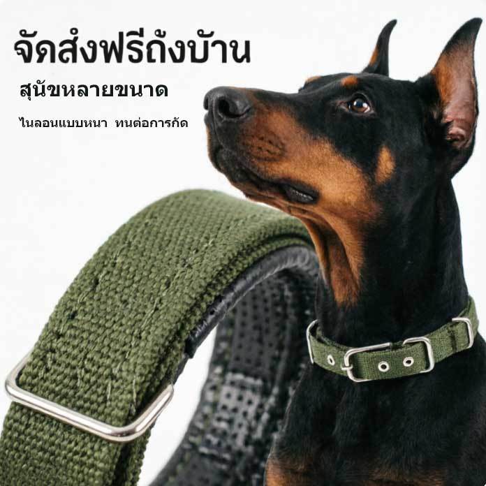 Zapco ปลอกคอสุนัขโต พันธุ์ใหญ่ วัสดุไนล่อน S-XXL ใช้กับสัตว์เลี้ยง พร้อมส่ง แข็งแรงทนทาน