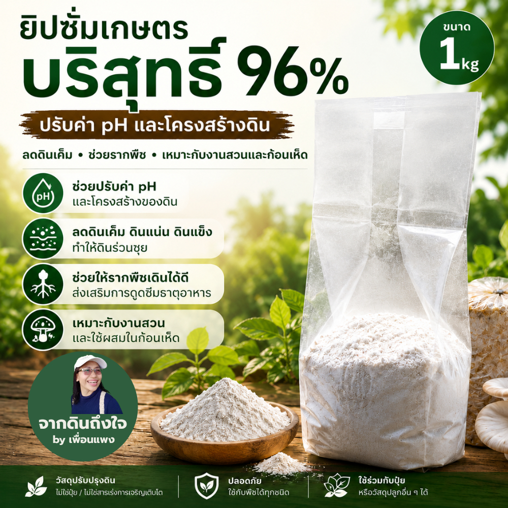 ยิปซั่มเกษตรบริสุทธิ์ 96% ขนาด 1 กิโลกรัม ปรับค่า pH และโครงสร้างดิน ลดดินเค็ม ช่วยรากพืช เหมาะกับงานสวนและก้อนเห็ด