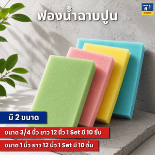 ฟองน้ำฉาบปูน ฟองน้ำ (คละสี) ขนาด 3/4 และ 1 นิ้ว ยาว 12 นิ้ว 1 เซต 10 ชิ้น