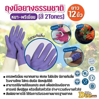 ถุงมือยางธรรมชาติอริส หนา-พรีเมี่ยม สี 2 Tones ถุงมือแม่บ้านอเนกประสงค์ สำหรับจัดสวน ทำความสะอาด มีลายกันลื่น ไม่มีแป้ง