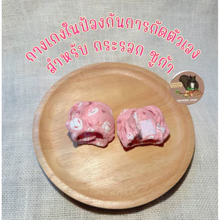 คอล่าผ้าสีสันน่ารัก กางเกงในกันกัดสำหรับสัตว์ขนาดเล็ก นก กระรอก ชูก้า หนูทุกสายพันธุ์