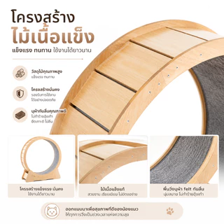🐱[PetParadise.th]🐶 ลู่วิ่งแมว ที่ออกกำลังกายสัตว์เลี้ยง รุ่นTP01 เสียงเงียบ ฐานมั่นคง