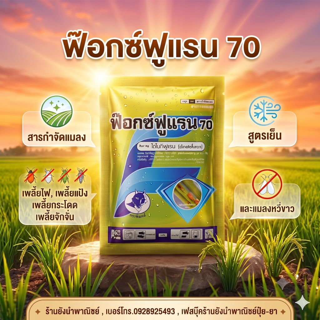 ฟ๊อกซ์ฟูแรน70,ไดโนทีฟูแรน,100กรัม,ยาเพลี้ยไฟ,เพลี้ยกระโดดสีน้ำตาล,และเพลี้ยต่างๆ