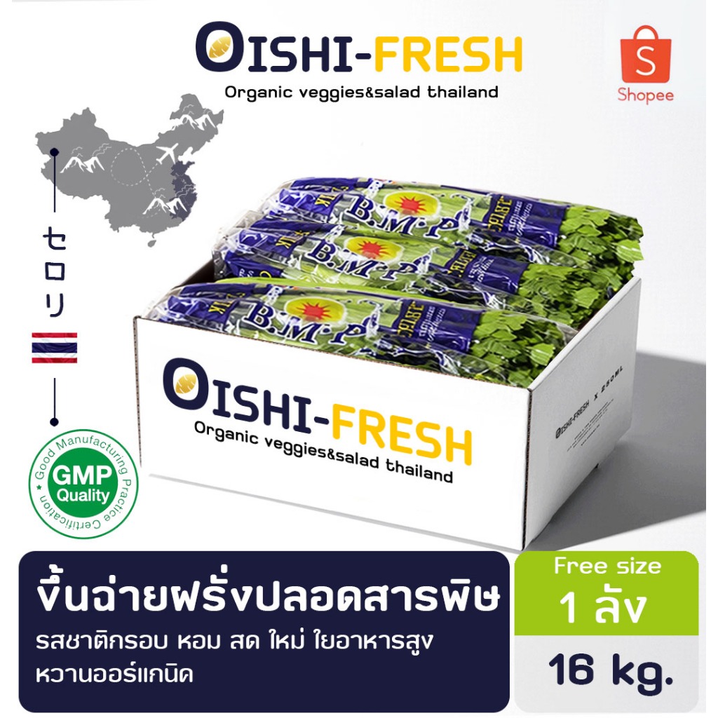🚨ส่งด่วน🥢ร้านอาหาร🥬เซลาลี่ ปลอดสารพิษ 10 กก. ผักร้านอาหาร ผักยกลัง ผักราคาส่ง ผักชาบู ผักโรงแรม ส่ง 24 ชม.