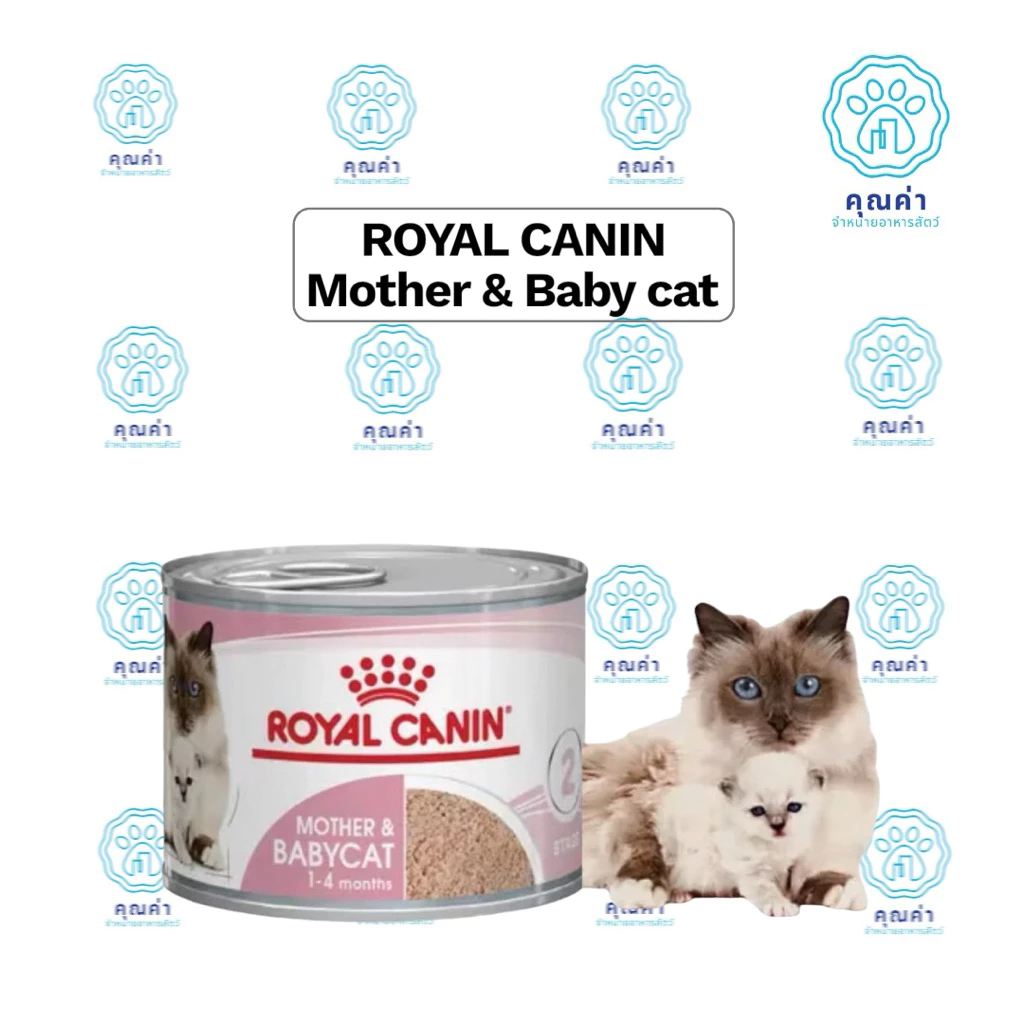 RoyalCanin (MOTHER & BABYCAT MOUSSE)6-12กระป๋องอาหารแม่แมว และลูกแมว ชนิดเปียก