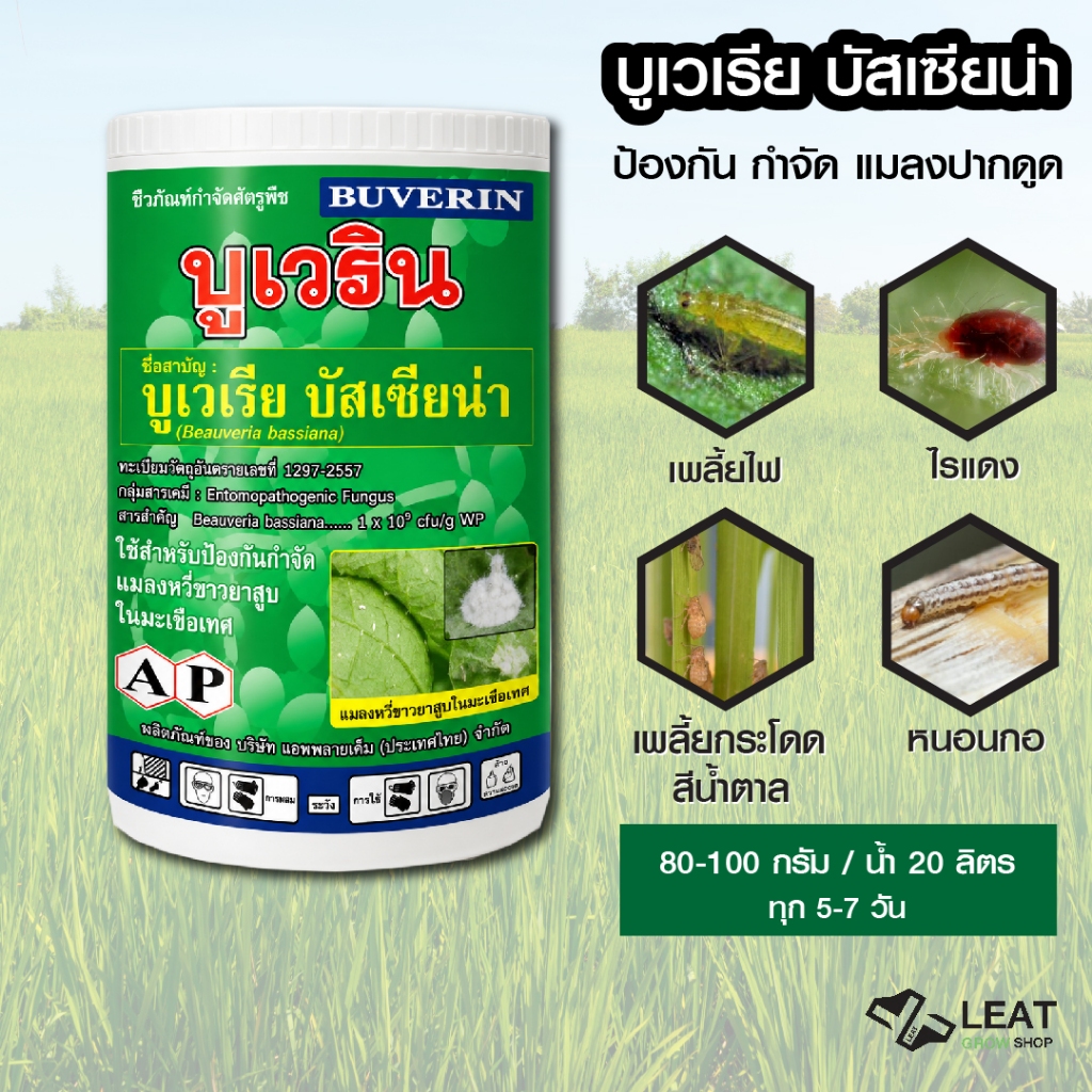 บูเวริน บูเวเรีย บัสเซียน่า Beauveria bassiana ชีวภัณฑ์ กำจัดแมลง 500 กรัม
