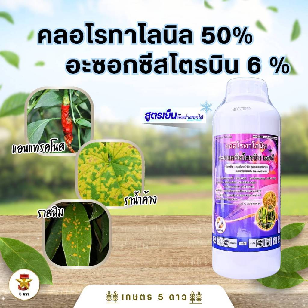 (ตรีทรัพย์)คลอโรทาโลนิล 50%+อะซอกซีสโตรบิน 6% ขนาด 1 ลิตร ป้องกันกำจัดเชื้อรา โรคแอนแทรคโนส ราน้ำค้าง ราสนิม