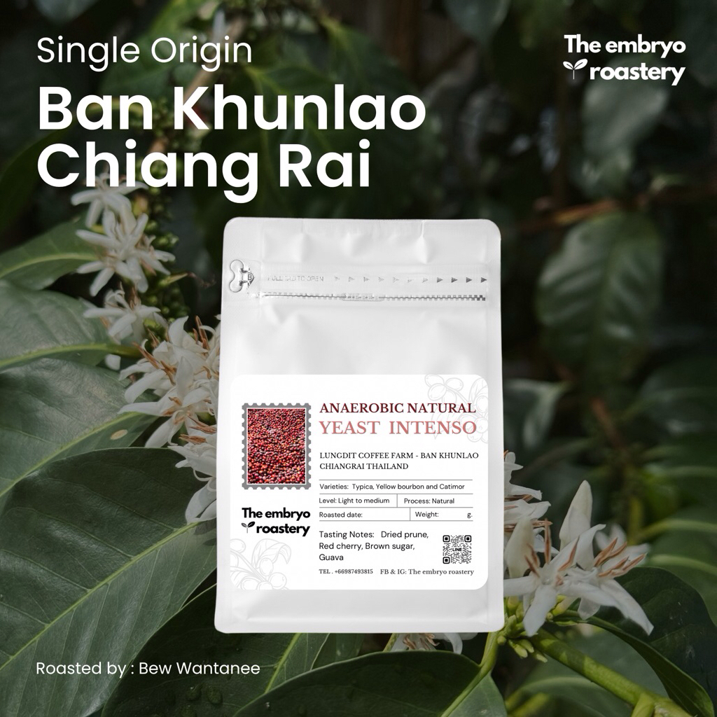 เมล็ดกาแฟคั่ว Ban Khunlao Yeast INTENSO Anaerobic Natural