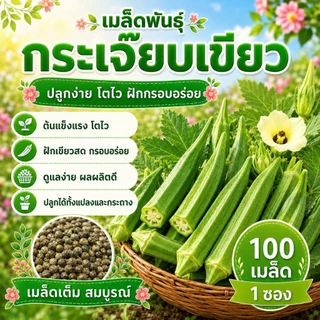 🎯เมล็ดพันธุ์กระเจี๊ยบเขียวคัดคุณภาพ 40–100 เมล็ด งอกเร็ว เติบโตไว สามารถปลูกบนดินทั่วไปได้ บรรจุ 100 เมล็ดต่อถุง🎯