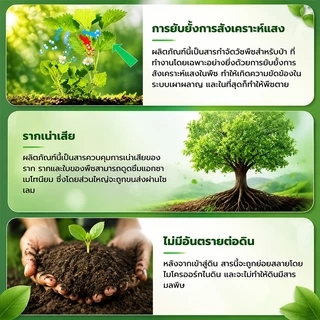 🌲ยาฆ่าตอไม้ใหญ่เข้มข้นสุด ยาฆ่าหญ้า ผงฆ่าหญ้า 500g ตรงทำลายราก กำจัดกอไผ่ หญ้าดื้อ ที่ดินรกร้างเปิดที่ทำงานได้เลย