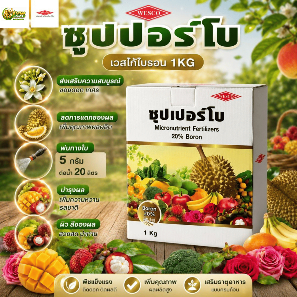 ซุปเปอร์โบ (ขนาด 1kg) โบรอน B20% เวสโก้